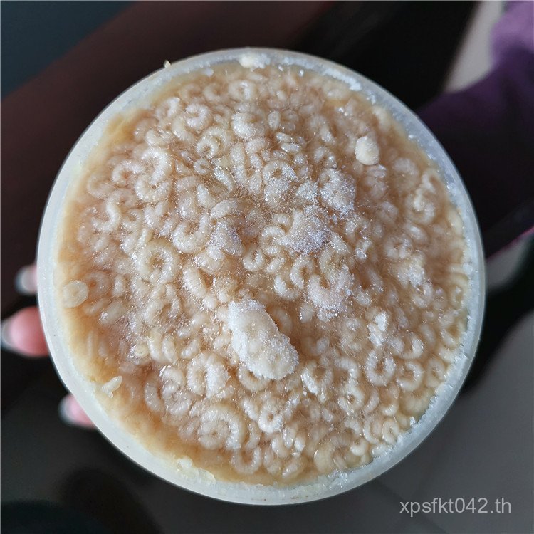 Frozen One Piece Shipment Larvae Royal Bee Dry Powder One Bottle Male Bee Pupa 470 Royal Bee Tyre Wh