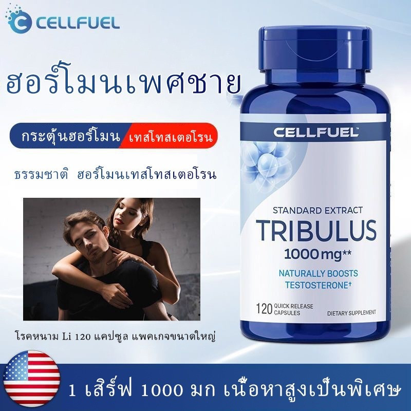 ฮอร์โมนเพศชาย เสริมสมรรถภาพท่านชาย ผลิตภัณฑ์สุขภาพสำหรับผู้ชาย แคปซูล Tribulus terrestris แอนโดรเจนเพิ่มความแข็งแรงขอ~