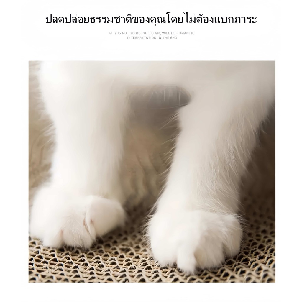 【PetZap】ที่ลับเล็บแมว กระดาษลูกฟูก ทรงกลม/ทรงรี รูปที่ 4