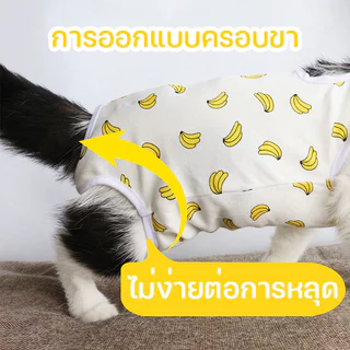 Pet Recovery Suitเสื้อหลังผ่าตัดแมว เสื้อป้องกันแมวเลีย ทำหมัน ชุดทำหมันแมว/สุนัข