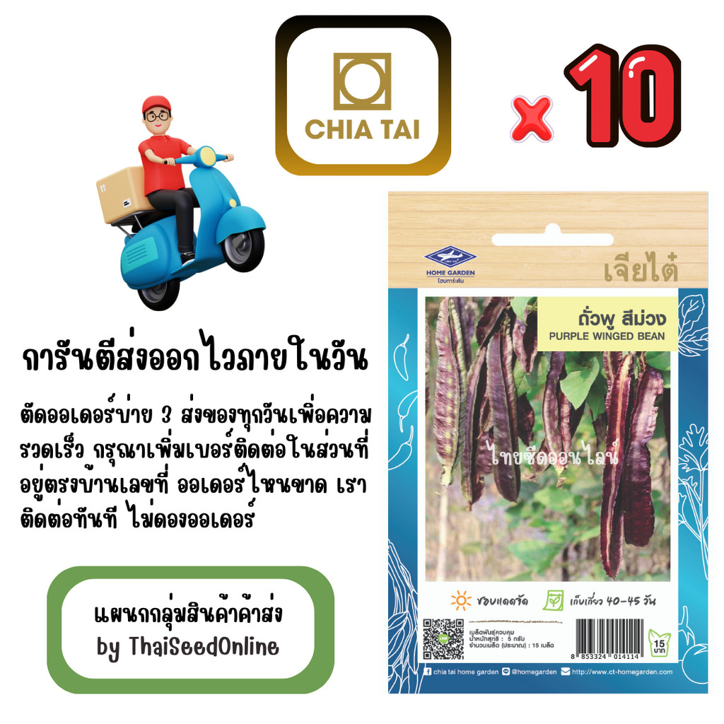 เจียไต๋ CTOP x 10 เมล็ดผักซองเจียไต๋ ถั่วพูสีม่วง สินค้ายกแพ็ค