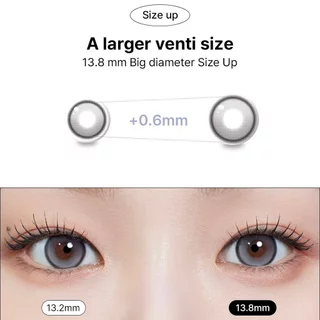 MYFiPN Biv 1 Day [Fixing Lens] #เลนส์ไม่หมุน G.dia13.2 (Size S) คอนแทคเลนส์รายวัน 5 คู่