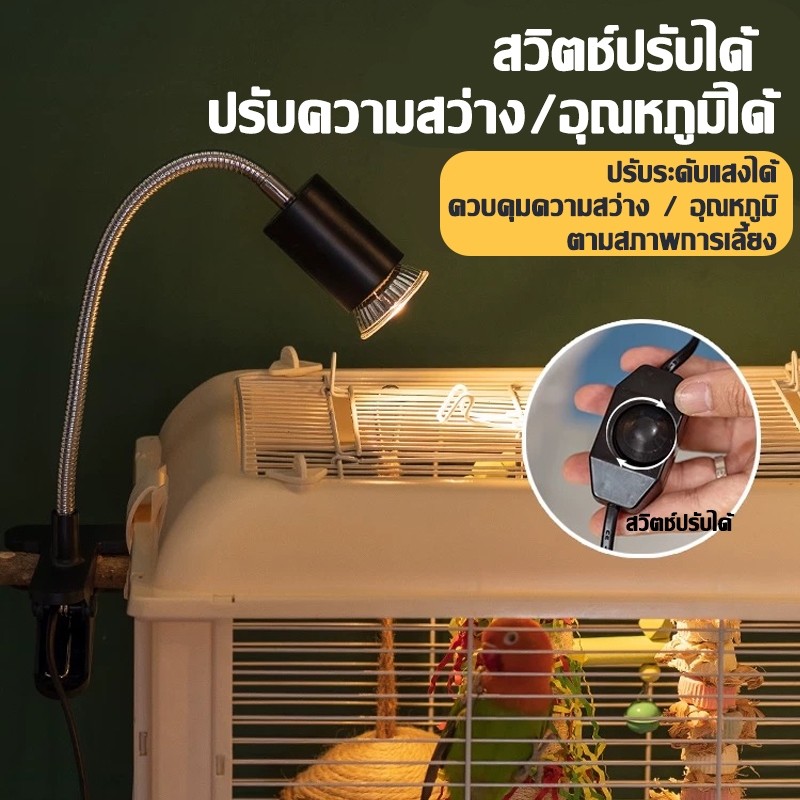สัตว์เลี้ยง โคมไฟทําความร้อนรังสี ยูวีเอ+ยูวีบี ทุ่มเทเหมาะสําหรับนก เต่า และสัตว์เลื้อยคลาน ใช้ขั้วหลอดเซรามิก จ27 สามารถจัดส่งได้ทันทีในไทย