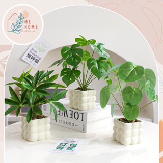 กระถางทรงเหลี่ยม+ต้นใบเต่า ต้นไม้ปลอม กระถางต้นไม้สไตล์ญี่ปุ…