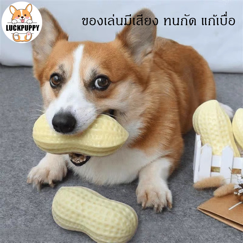 สำหรับสุนัขเล็ก–กลาง ของเล่นสุนัขมีเสียง ทนกัด แก้เบื่อ ขัดฟัน รูปถั่วลิสง