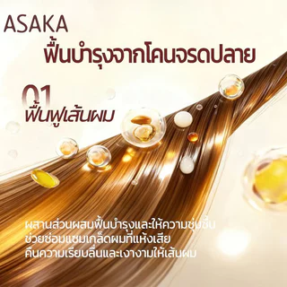 ASAKA สารสกัดซีดาร์นัทญี่ปุ่น ครีมนวดผมอะมิโนแอซิด ซ่อมแซมผมอ่อนนุ่ม 260กรัม