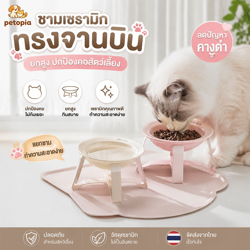ชามอาหารแมว ชามแมวเซรามิก ชามแมวพร้อมขา ทำจากเซรามิคคุณภาพสูง ชามข้าวแมว ลายน่ารัก สีสดใส