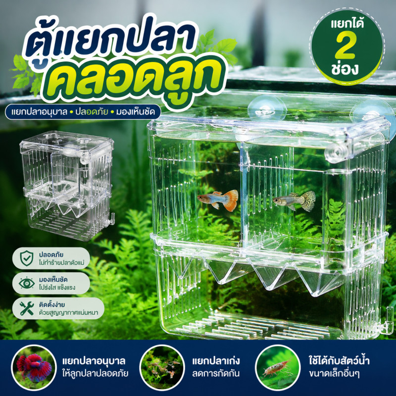 ตู้แยกปลาคลอดลูก กล่องแยกสำหรับถังปลา แยกได้ 2 ช่อง มี 2ขนาด และแยกปลาที่กำลังป่วย สีใส
