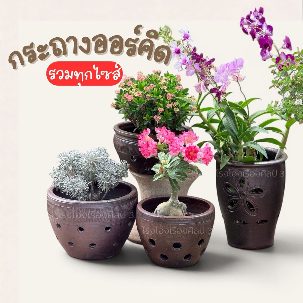 ***ส่งฟรี***กระถางออร์คิด (ปลูกกล้วยไม้) / ปลูกต้นชวนชม รวมทุกไซส์ทุกขนาด