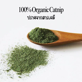 Oven Story - ตุ๊กตาแคทนิป สำหรับแมว Catnip Toy | UrPet