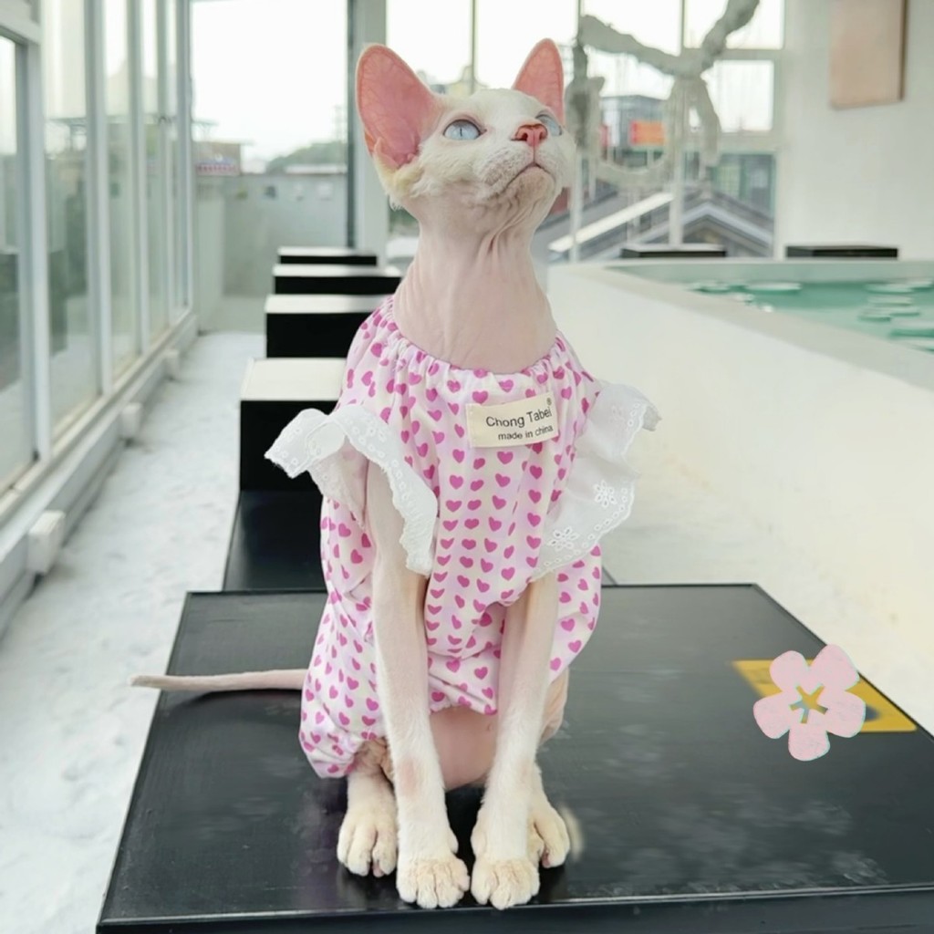 8 ️ ⃣ Love Heart Puff Sleeve Summer Anti-Lint Small Skirt Sphinx Hairless Cat เสื้อผ้าแมวเยอรมัน 25.