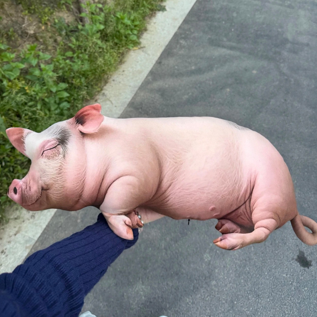 หมอนหมูหญิงน่ารักหมูจําลองหมอนหมูสัตว์เลี้ยงของเล่นตุ๊กตาของขวัญวันหยุดนอนจําลองสัตว์