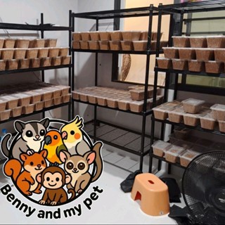 COD  รำข้าวสาลีใส่แว๊ก wax ดิ๊กๆ สำหรับ สัตว์เลี้ยง