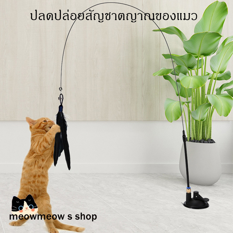 รูปภาพ 2