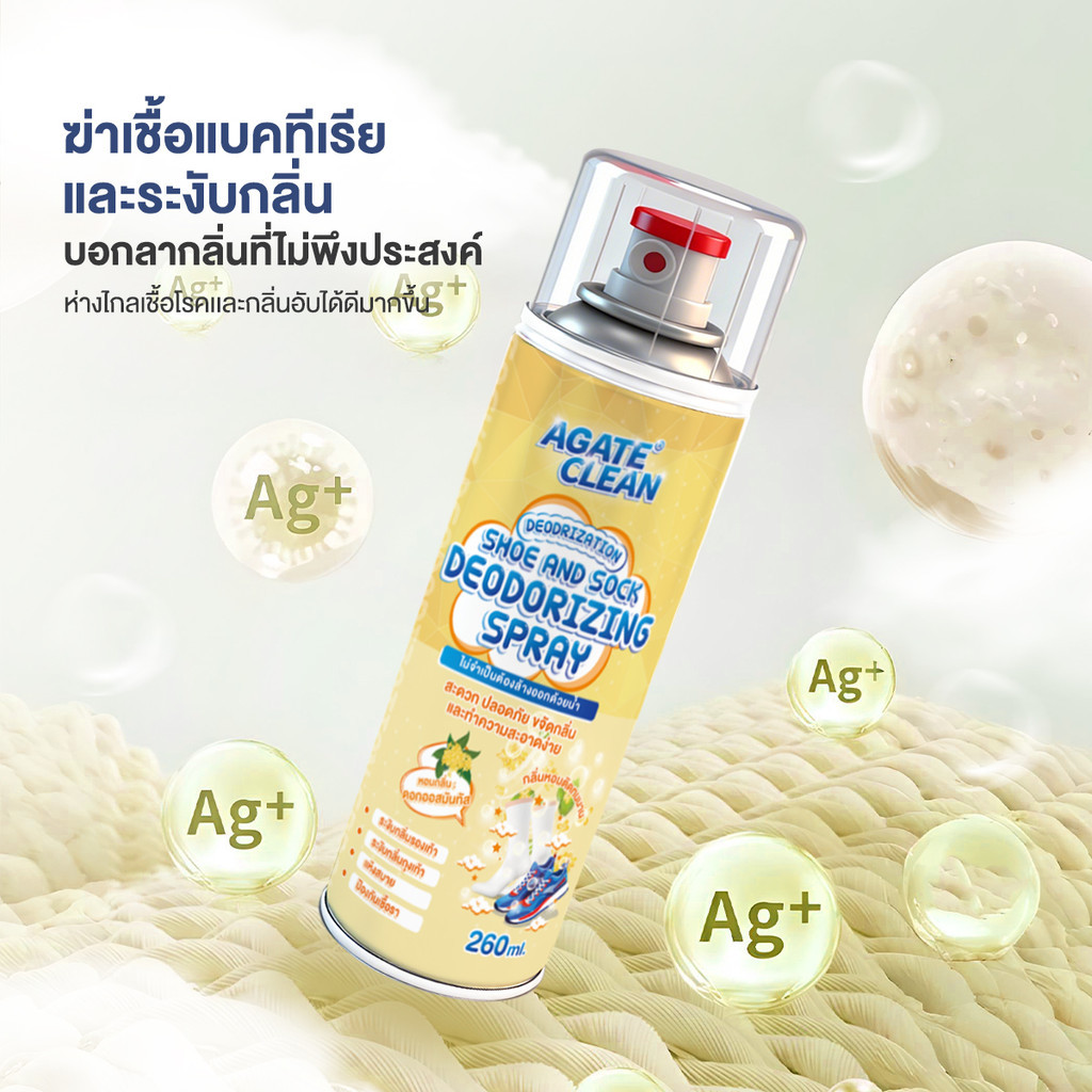 รูปภาพ 6