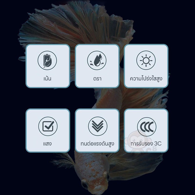 Thumbnail 9