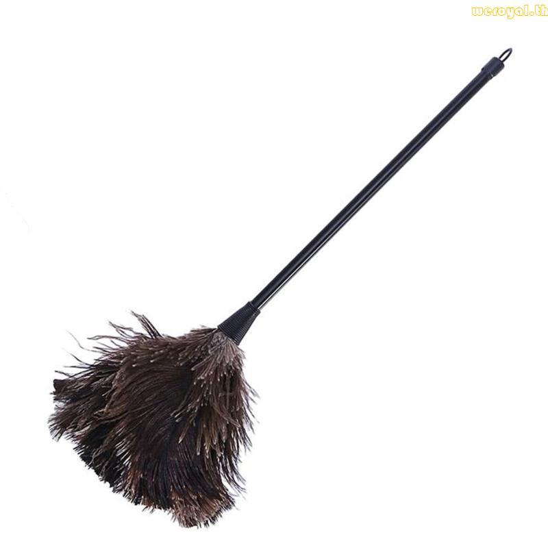 Ostrich Duster Feather Cleaning Brush with Long Handle Computer Dust Removal