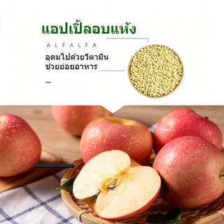 อาหารนกแก้ว ผัก ผลไม้ Freeze dried Nutrition blend อาหารนก อาหารนกแก้วซันคอนัวร์ เหมาะสำหรับนกแก้วทุกชนิด