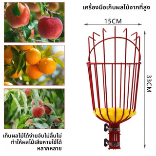 CF.HOME ที่สอยผลไม้ สามารถถอดออกได้ ตะกร้าลึก คุณภาพดี ทันสมัย เก็บผลได้เยอะ พร้อมจัดส่งสินค้า