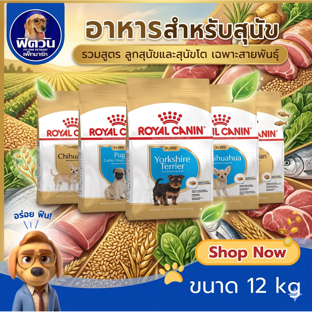 ROYAL CANIN สูตรเฉพาะสายพันธ์ สำหรับสุนัขโตและลูกสุนัข 12 เดือนขึ่นไป ขนาด12 กิโลกรัม {อาหารสุนัขเม็ด}