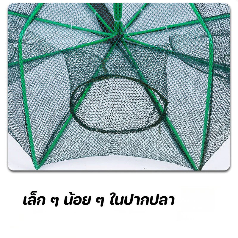 ตาข่ายดักปลา พับได้ thumbnail 8