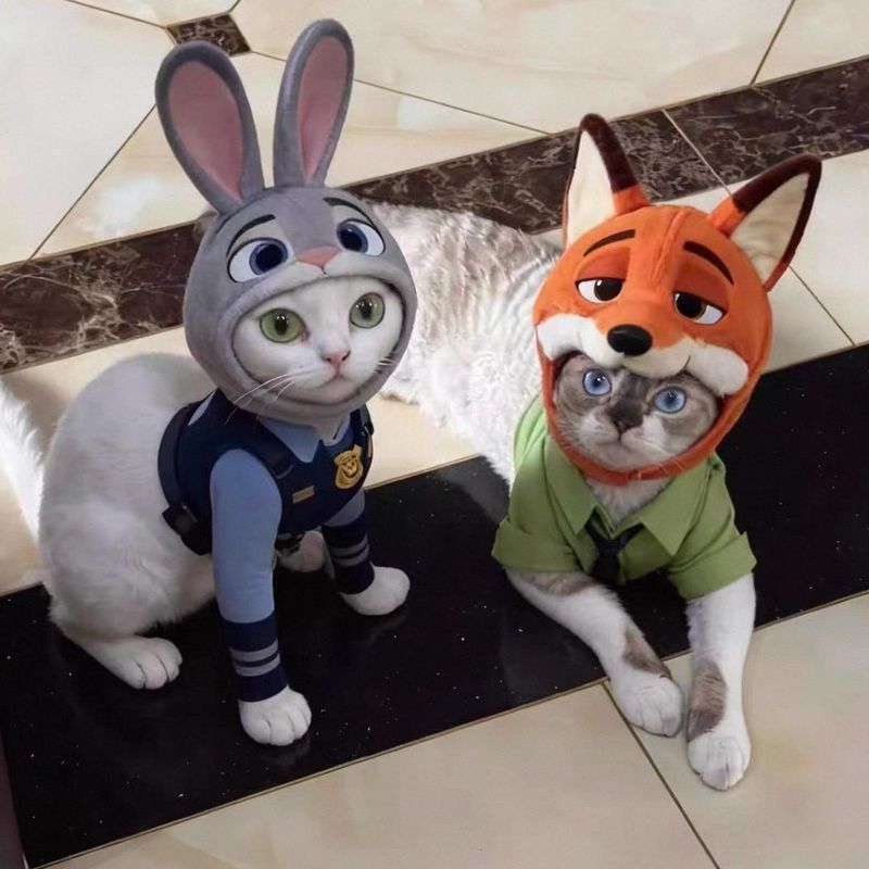Crazy Judy Nick Hat Mi 2025 สไตล์ใหม่