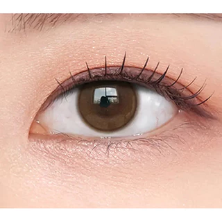 O-LENSE SHINE TOUCH MILKY Choco 1Day 20P คอนแทคเลนส์