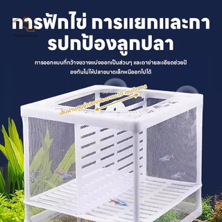 🐠ตาข่ายเเยกปลา กล่องแยกเลี้ยงปลา ฟักไข่ปลา สำหรับพันธุ์ปลาต่อสู้ แยกลูกกุ้ง และแยกปลาที่กำลังป่วย