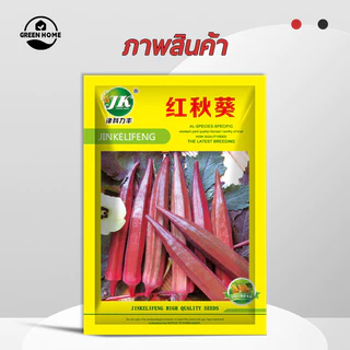 กระเจี๊ยบฝักสีแดงงง!!📌เมล็ดพันธุ์กระเจี้ยบมอญอเมริกันแดง 80 เมล็ด🌱งอกง่าย โตไว☘️ ผลดก🌱สีสวย🎈ทานอร่อย