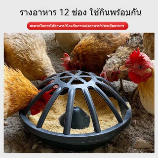 รางอาหารไก่ รางอาหารพิเศษสำหรับให้อาหารไก่ การเลี้ยงไก่แบบปล่อย ตีไม่พลิก กรวยหนาแรงเลียนแบบเอ็นวัว