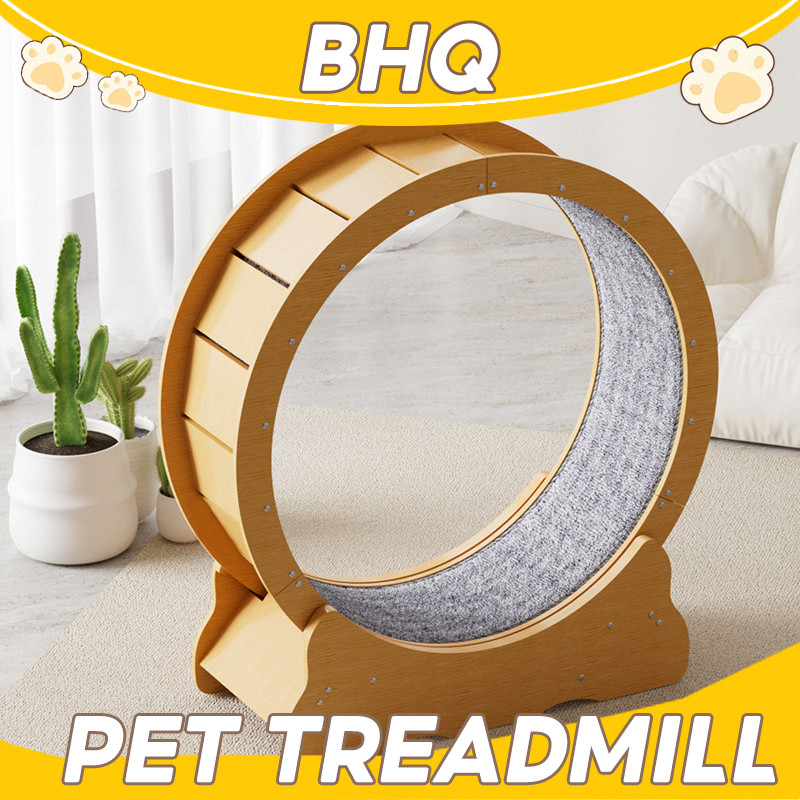 BHQ ออกกำลังกาย ลู่วิ่งแมว  Pet treadmill เงียบไม่มีเสียงรบกวน ติดตั้งง่าย ขนาดใหญ่ ที่ออกกำลังกายสัตว์เลี้ยง