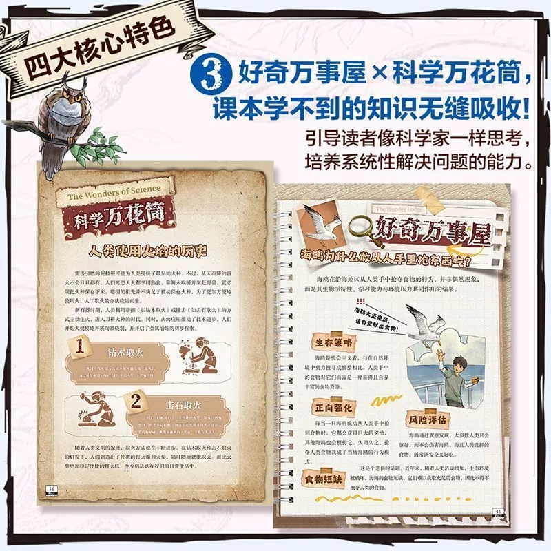 หนังสือการ์ตูนผจญภัยเสือน้อยวัยรุ่นสีดำ 4 เล่ม thumbnail 7