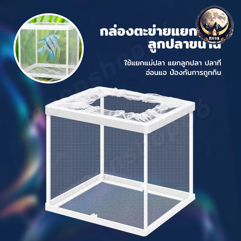 กล่องแยกปลาแบบตาข่าย กล่องเพาะพันธุ์ปลา กล่องฟักไข่ปลา thumbnail 5