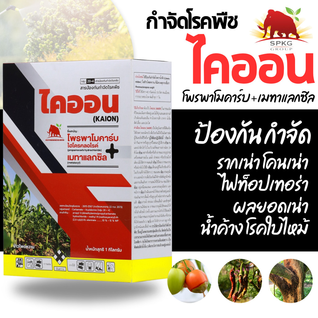 [1กก] ไคออน แบคเคียว (โพรพาโมคาร์บไฮโดรคลอไรด์ 10% + เมทาแลกซิล 15% WP) ไฟท็อป รากเน่า โคนเน่า 1 กิโลกรัม