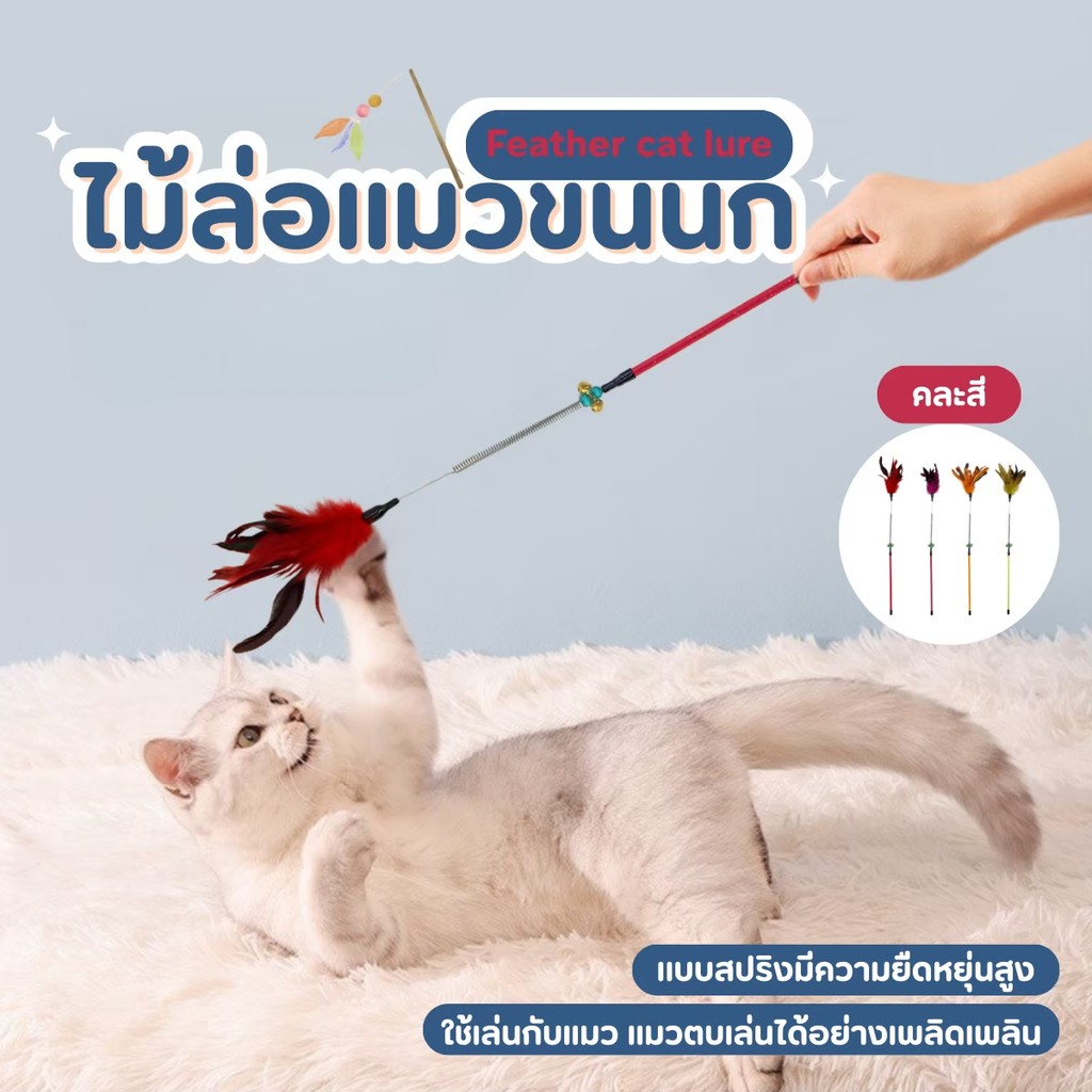 ไม้ตกแมว ไม้แกล้งน้องแมว ของเล่นแมว ไม้แหย่แมว