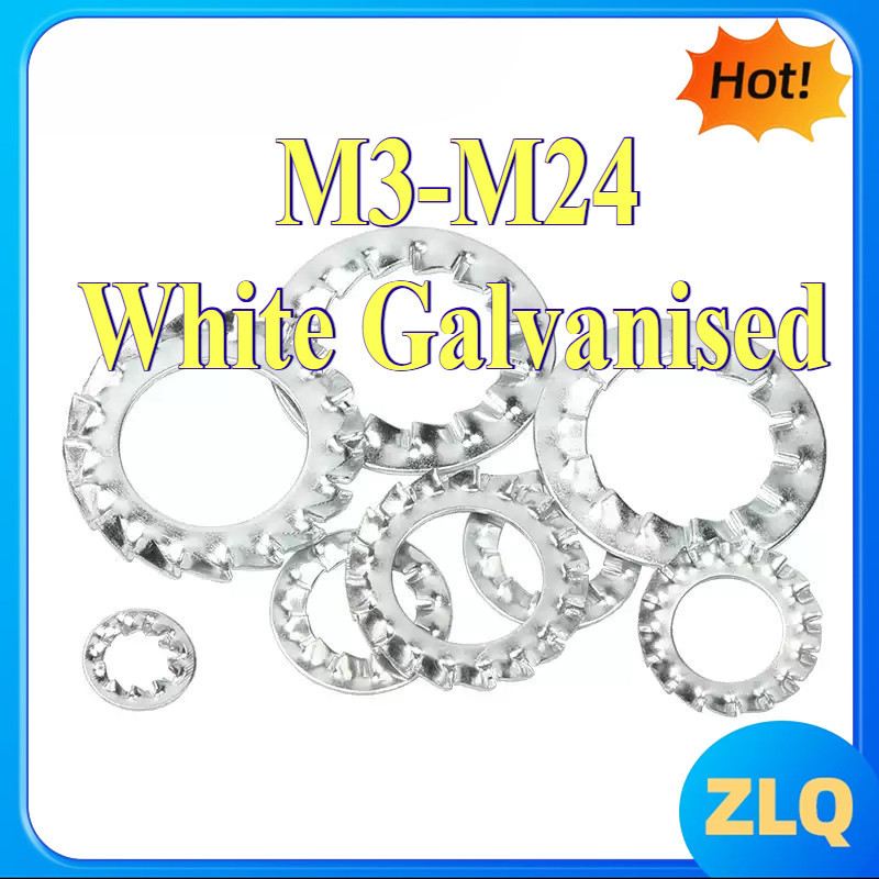แหวนจักร ฟันถี่นอก กันคลาย  White Galvanised M3-M24   [zlq168-FC-1]
