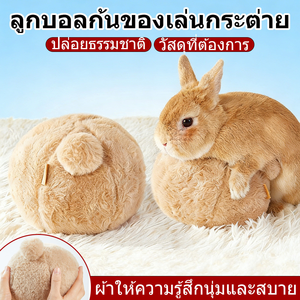 12 ซม ของเล่นกระต่าย, ลูกบอลบรรเทาความเครียด สำหรับกระต่ายคนแคระและกระต่ายผสม, การออกแบบกรงเล็บบด Yee ﻿