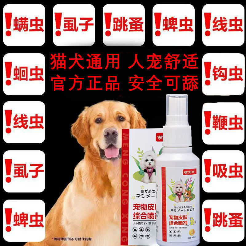 Pet Family Essentials/เสื้อผ้าสัตว์เลี้ยง/สารสกัดจากพืช 12.9a