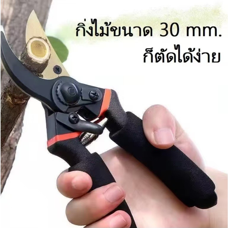 กรรไกรตัดกิ่งไม้สำหรับทำสวน ตัดกิ่งไม้ผลและกิ่งหนา อุปกรณ์ตัดแต่งพืชและดอกไม้