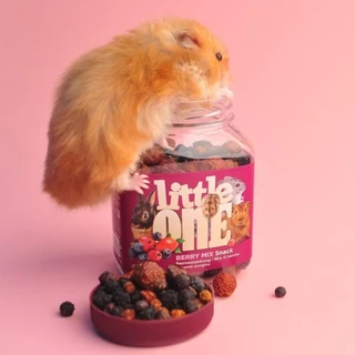 Little one ขนม สำหรับ สัตว์ฟันแทะ สัตว์เล็ก กระรอก แกสบี้ บุชเบบี้ ชูการ์ไกลเดอร์ กระต่าย ชินชิล่า