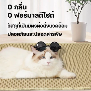 แผ่นดักทรายแมว ใหญ่ ที่ดักทราย แมว แผ่นรองทรายแมว พรม 2 ชั้น EVA ช่วยดัก ทรายแมว ที่ติดตามเท้า แผ่น