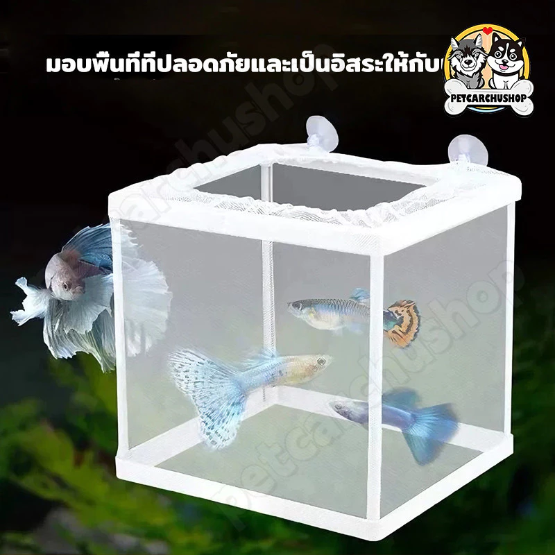 กล่องตาข่ายแยกปลา แยกลูกปลา กล่องฟักไข่ปลา thumbnail 3
