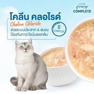 [ยกโหล 12 ซอง] Pramy อาหารเปียกแมวพรามี่ สูตร Complete & Balance ขนาด 60 กรัม (Cat Wet Food,Pramy,Balance,Complete)