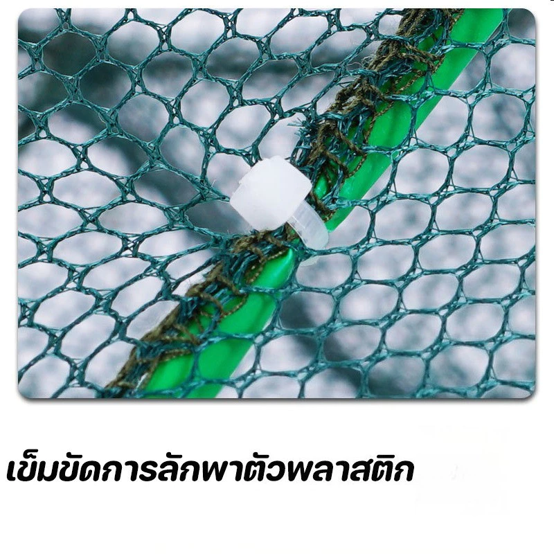 ตาข่ายดักปลา พับได้ thumbnail 7