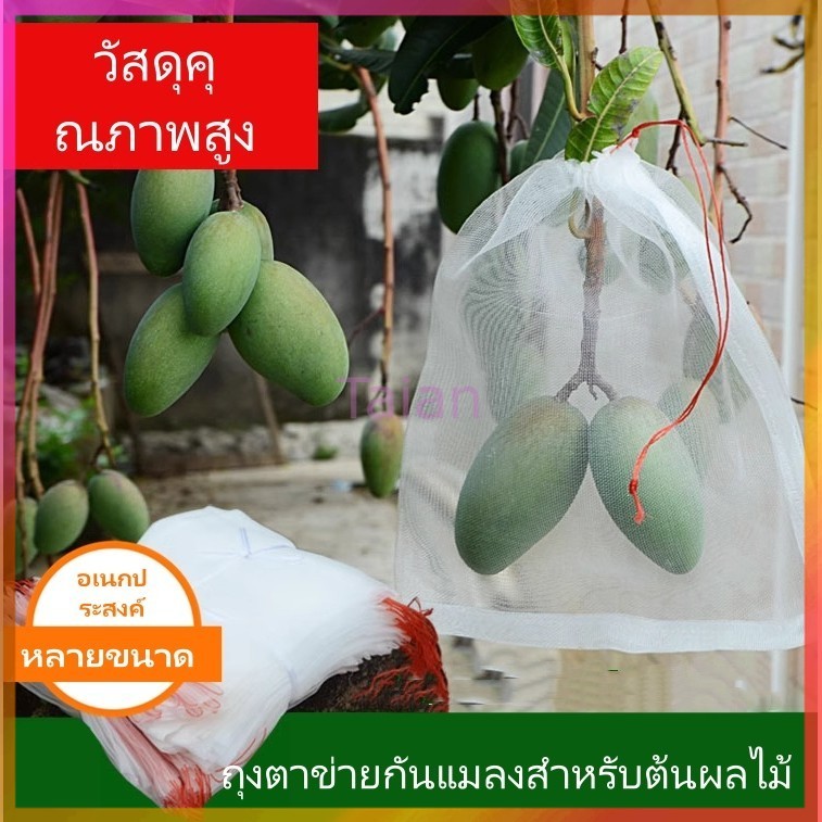Taian ถุงตาข่ายกันแมลงสำหรับต้นผลไม้/ถุงตาข่ายกันนก/ถุงใส่ผลไม้มะเขือเทศและพีช