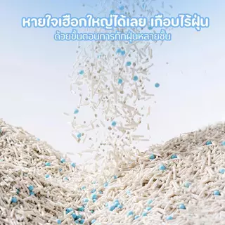 8L ทรายแมอมันสำปะหลัง ทำจากมันสำปะหลังธรรมชาติ ออร์แกนิค100% Cat Litter จับตัวเป็นก้อนเร็ว