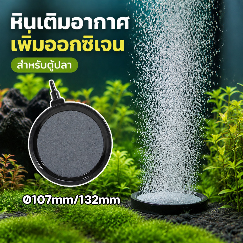 หัวทรายจาน หินดิสก์อากาศ ออกซิเจนตู้ปลา 10/13cm การเผาผนึกอุณหภูมิสูง เนื้อละเอียด มีขอบ ด้วยหลอดลม 4/8 มม.