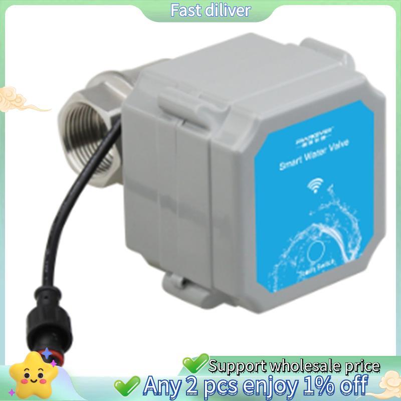 Tuya Wifi อัจฉริยะ Water Ball วาล์วอัจฉริยะ Water Ball Valve Rate 0% ถึง 100% Garden Smart Life Water Ball Valve NPT-Type