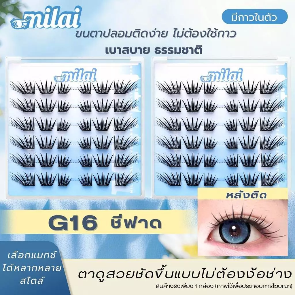 【G16 ชีฟาด】Milaiขนตาปลอมกาวในตัว รุ่นชีฟาด ลุคตาคมชัด เพิ่มมิติให้ดวงตาดูเด่นแบบสายฝอเบา ๆ แต่ยังคงความธรรมชาติ