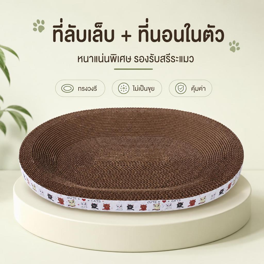 【PetZap】ที่ลับเล็บแมว กระดาษลูกฟูก ทรงกลม/ทรงรี รูปที่ 2